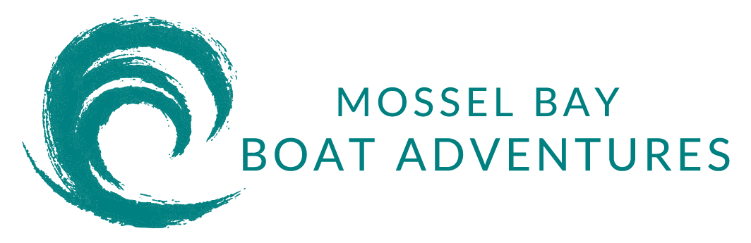 Mossel Bay Boat Adventures - Whale watching and Boat rides in Mossel Bay